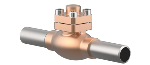 Check Valves Manufacturer India