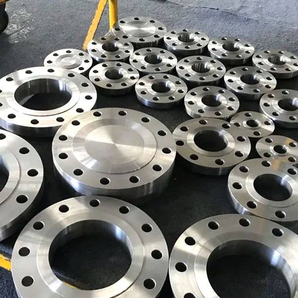 Titanium Flanges
